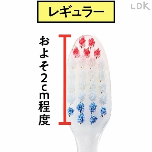 磨き残しのリスクが少ないレギュラー 歯ブラシおすすめ イメージ