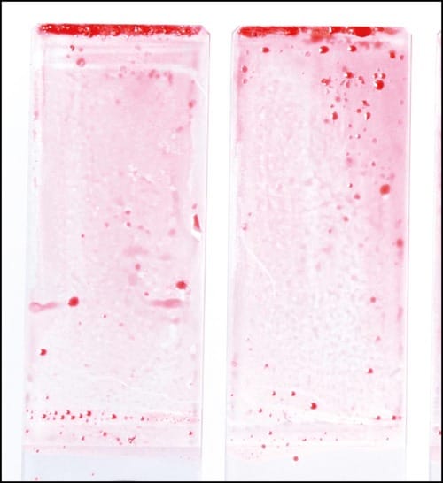 洗浄力 ボディソープおすすめ イメージ