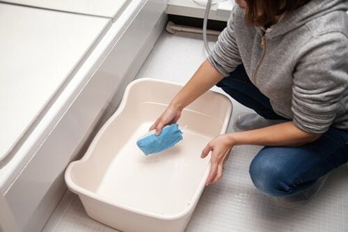 【Q8】トイレ本体は定期的に洗ったほうが良いの？ イメージ