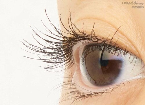 仕上がり マスカラおすすめ イメージ