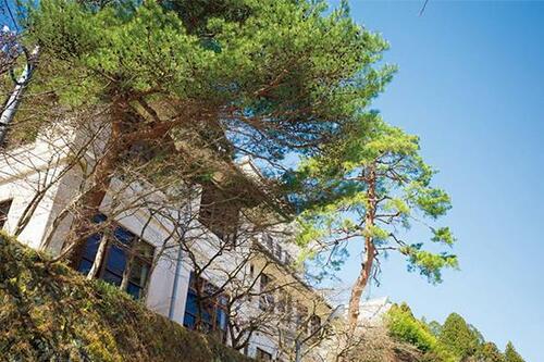 きれいと極小をバッチリ両立！リコー「GR III」 イメージ3