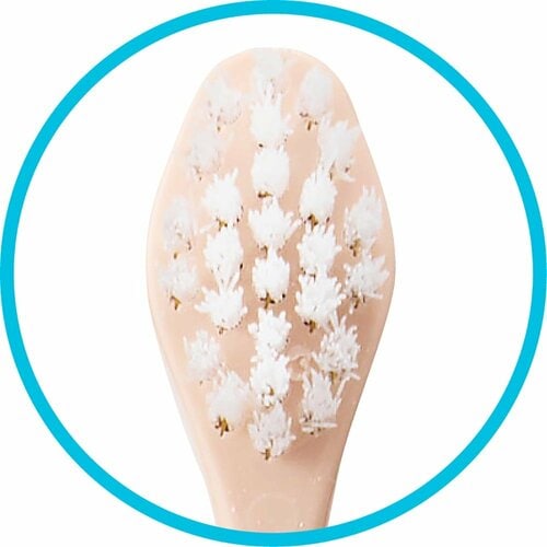 LDKベストバイ歯ブラシおすすめ 花王 ピュオーラ 36500 ハブラシ1本1本磨き ふつう イメージ3