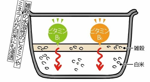 白米派の家族の分も同時に炊ける方法は？ 雑穀米おすすめ イメージ