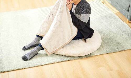 まさに「猫」な手触りのクッションとブランケットがおすすめ! ブランケットとクッションおすすめ イメージ