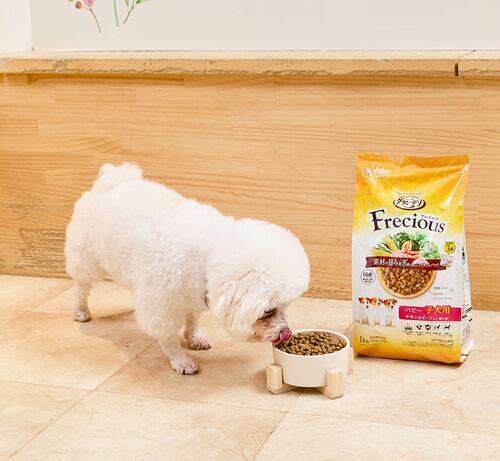 栄養素のバランスも原材料も問題なし！ 子犬用ドッグフードおすすめ イメージ
