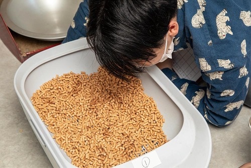 消臭機能 猫用トイレおすすめ イメージ