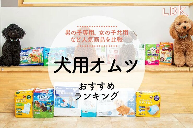 犬用オムツのおすすめランキング14選。LDKが人気商品の吸収力や使い勝手を比較