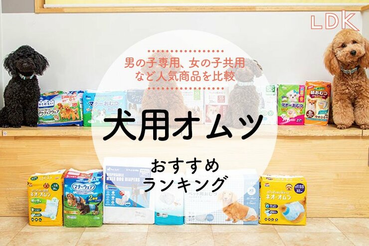 【2024年】犬用オムツのおすすめランキング14選。LDKが人気商品の吸収力や使い勝手を比較