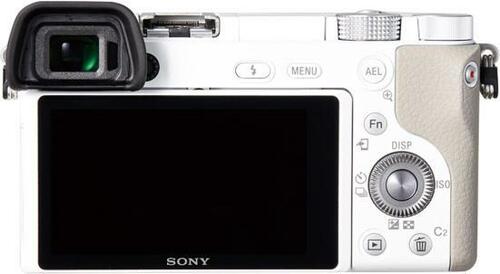 オートフォーカスの素早さは一級品! ソニー「α6100」 イメージ7