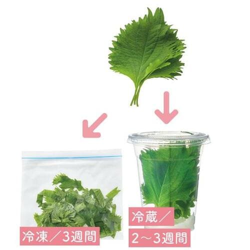 旬を逃さない今すぐできる簡単保存テク イメージ3