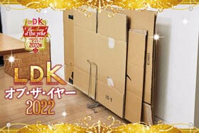 山積み段ボール問題はケミカルジャパン「ダンボールストッカー」で解決。そのまま運べます【LDKベストバイ2022】