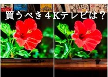 SONYとハイセンス。格安4Kテレビ、 どちらを今すぐ買うべきですか？ ｜「人気者」と「コスパ最強」を比較してみた【後編】