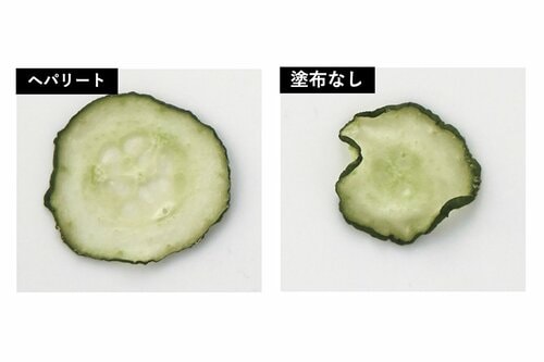 時間がたつほどうるおいを実感! イメージ