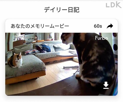 ネコの行動を日記にまとめられる ペットカメラおすすめ イメージ