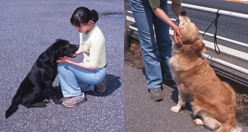 ベストポイントを心得てうっとりスキンシップ♪ イメージ