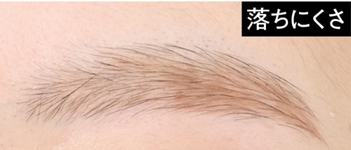 落ちにくさ 落ちにくいアイブロウおすすめ イメージ