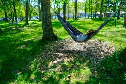 最高のリラックスを味わうハンモック&ツリーウェア イメージ