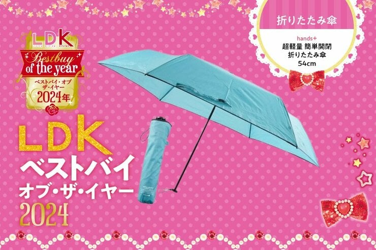 「どんな天気でもかばんに入れています」ハンズの超軽量折りたたみ傘が有能すぎた【LDKベストバイ2024】