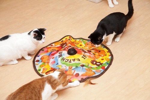 予測不可能な動きでネコの狩猟本能を刺激！ 猫用おもちゃおすすめ イメージ