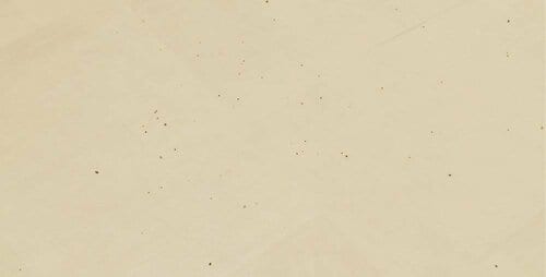 クッションフロア ロボット掃除機おすすめ イメージ