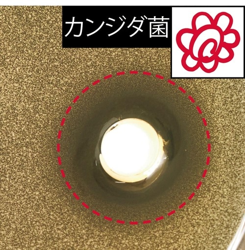 虫歯や歯周病の原因菌もブロック イメージ3