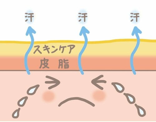 夜しっかりスキンケアしたし、朝は水だけで顔を洗えばいい？ 洗顔料おすすめ イメージ