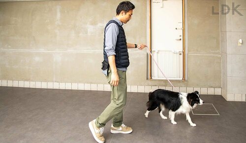 ハンドルがツルツルしている 犬用リードおすすめ イメージ