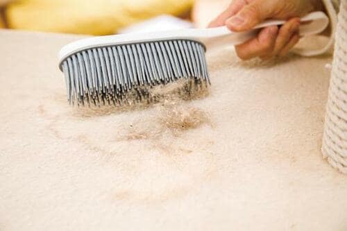 カインズ「毛づまりごっそりブラシ」2