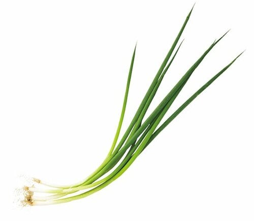 生でもねぎくささがない上品な風味の青ねぎ系 イメージ2