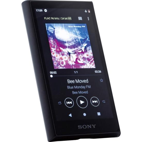 SONY NW-A106