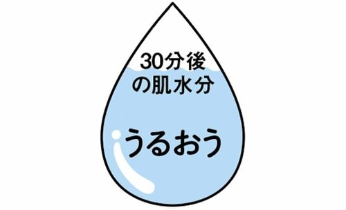 保湿力 Nオーガニックおすすめ イメージ