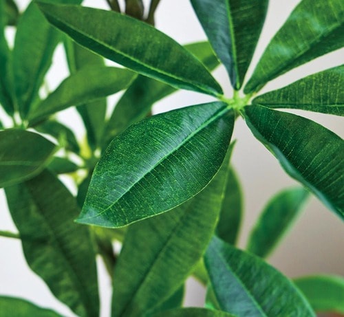 葉や枝、幹などの細部までつくりが丁寧 LDKベストバイ収納アイテム・インテリア雑貨おすすめ イメージ