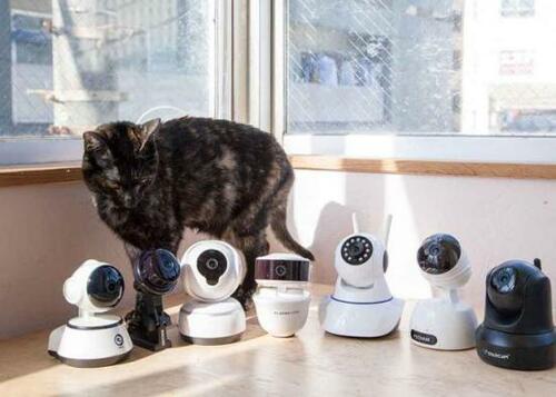 すぐれた操作性と画質！ 「Vstarcam C29S」 イメージ2