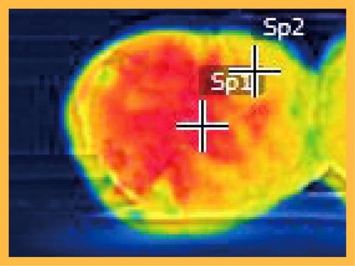 After やきいもトースターおすすめ イメージ2