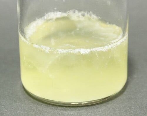 C評価: 【C評価】やさしさはイマイチ… ファミリーフレッシュ イメージ