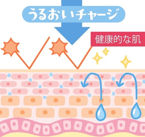 健康的な肌 プチプラ化粧水おすすめ イメージ