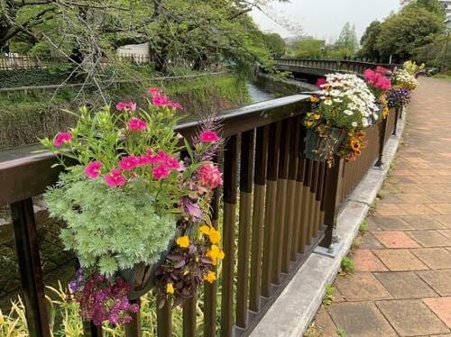 カメラも進化！1000万画素の“超広角”で風景がより伝わる写真に イメージ2