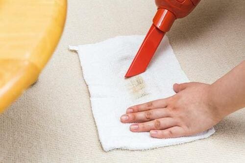 ラグのシミは掃除機＋ぞうきんで広がりを抑える イメージ2