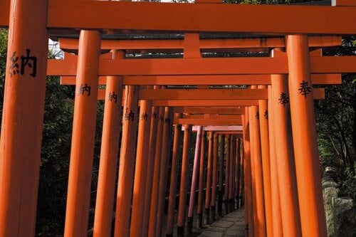 ［3位］高い解像力が強みの高コスパモデルです イメージ2