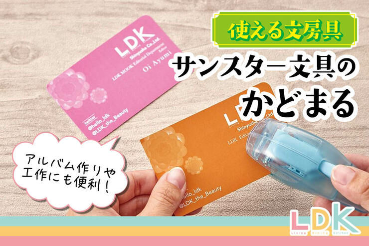 写真や名刺をおしゃれにかわいく♪コーナーパンチのおすすめ３選。LDKとプロが検証
