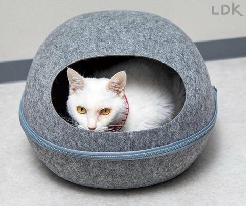 猫用ベッドのおすすめランキング7選。ニトリ、ペティオなど人気製品を