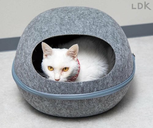 使用率 猫用ベッドのおすすめおすすめ イメージ