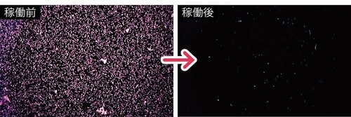 やっかいな花粉をほとんど除去！ イメージ