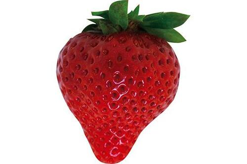 甘さ・食感・香りは品種によって違いがあります イメージ2