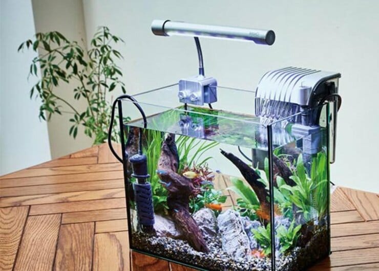 安っ！ もう「アクアリウム」は憧れじゃありません！｜「テトラ クリスタルアクアリウム」ヤラセなしで検証レビュー