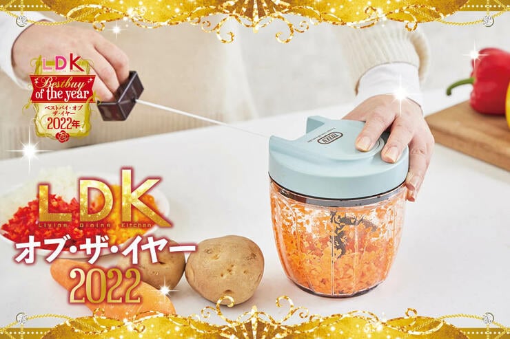 時短調理の相棒はToffy「ハンディチョッパーⅡ K-HC6」洗いやすさも切れ味も両立【LDKベストバイ2022】