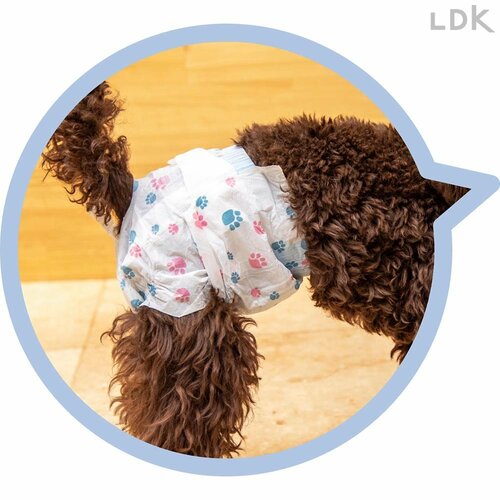 付け直しや装着がしやすい 犬用おむつおすすめ イメージ