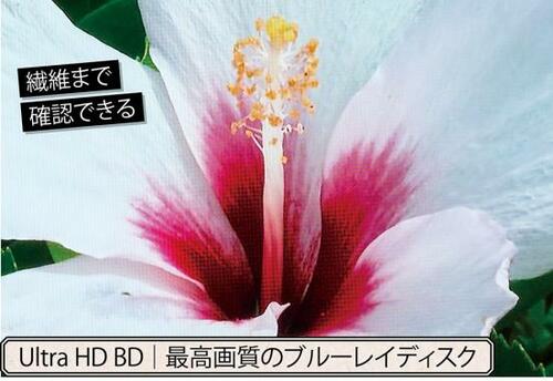 ベストな理由：自動補正機能が進化してより自然な高画質映像に！ イメージ2