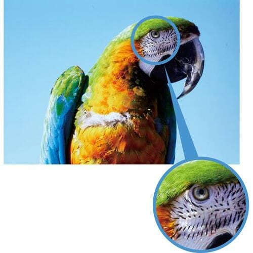 東芝「REGZA X8900Kシリーズ」8