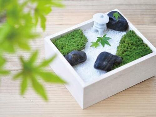 わびさびの暮らしを始めよう 聖新陶芸「苔盆」 イメージ